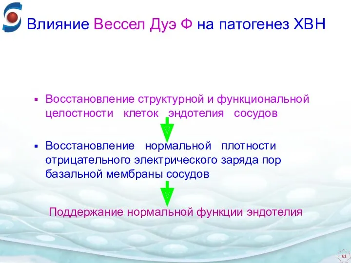 Восстановление структурной и функциональной целостности клеток эндотелия сосудов Восстановление нормальной