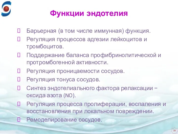 Функции эндотелия Барьерная (в том числе иммунная) функция. Регуляция процессов