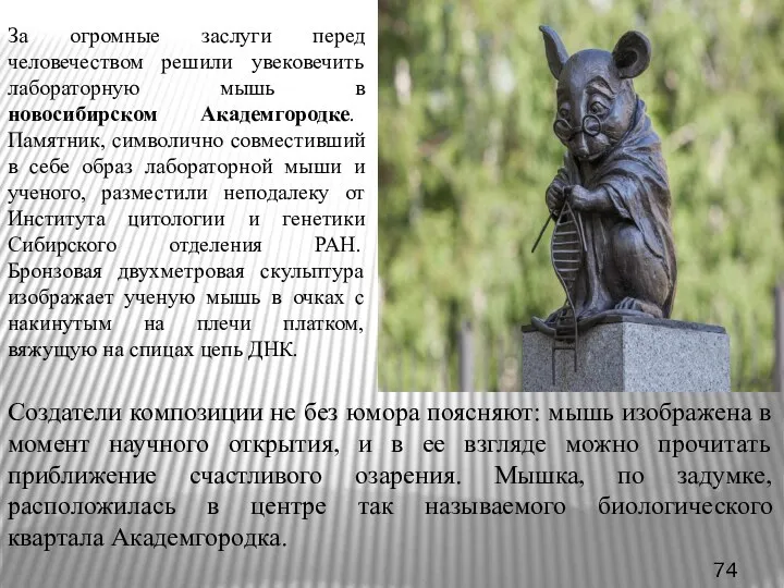 За огромные заслуги перед человечеством решили увековечить лабораторную мышь в новосибирском Академгородке. Памятник,
