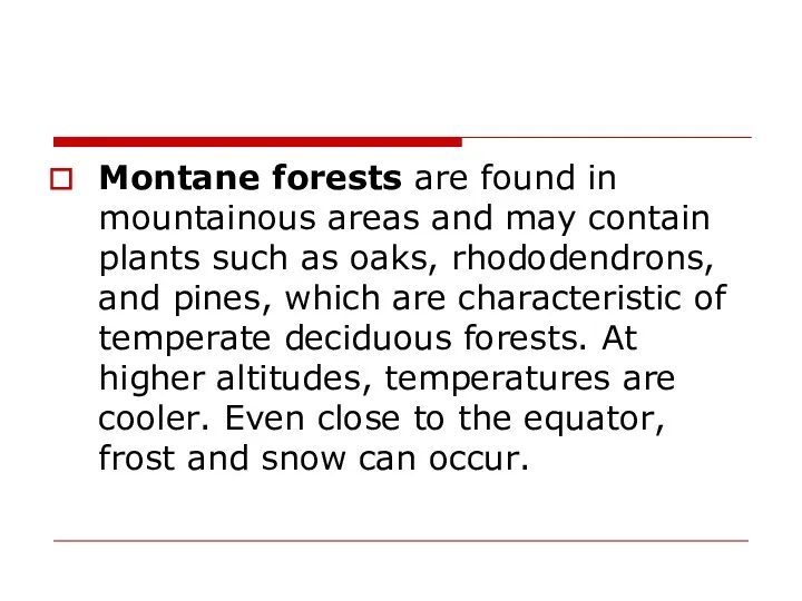 Montane forests are found in mountainous areas and may contain plants such as