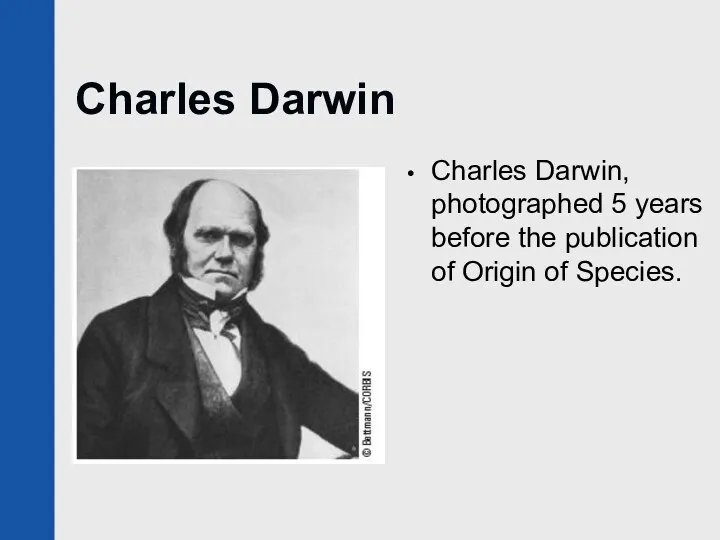 Charles Darwin Charles Darwin, photographed 5 years before the publication of Origin of Species.