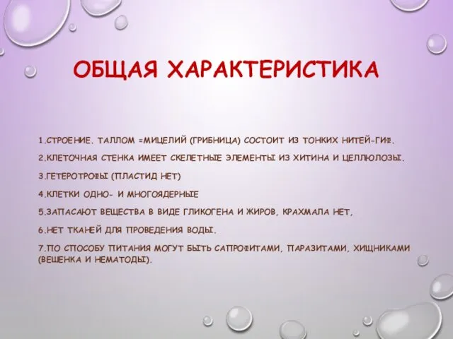 ОБЩАЯ ХАРАКТЕРИСТИКА 1.СТРОЕНИЕ. ТАЛЛОМ =МИЦЕЛИЙ (ГРИБНИЦА) СОСТОИТ ИЗ ТОНКИХ НИТЕЙ-ГИФ.