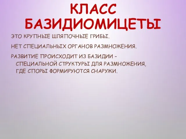 КЛАСС БАЗИДИОМИЦЕТЫ ЭТО КРУПНЫЕ ШЛЯПОЧНЫЕ ГРИБЫ. НЕТ СПЕЦИАЛЬНЫХ ОРГАНОВ РАЗМНОЖЕНИЯ.