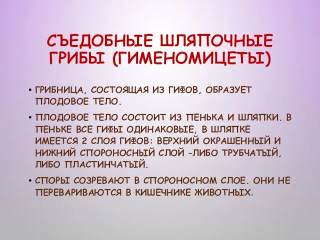 СЪЕДОБНЫЕ ШЛЯПОЧНЫЕ ГРИБЫ (ГИМЕНОМИЦЕТЫ) ГРИБНИЦА, СОСТОЯЩАЯ ИЗ ГИФОВ, ОБРАЗУЕТ ПЛОДОВОЕ