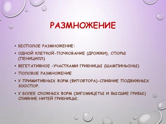 РАЗМНОЖЕНИЕ БЕСПОЛОЕ РАЗМНОЖЕНИЕ: ОДНОЙ КЛЕТКОЙ-ПОЧКОВАНИЕ (ДРОЖЖИ), СПОРЫ (ПЕНИЦИЛЛ) ВЕГЕТАТИВНОЕ –УЧАСТКАМИ