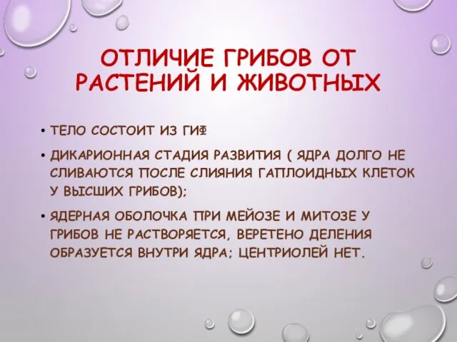 ОТЛИЧИЕ ГРИБОВ ОТ РАСТЕНИЙ И ЖИВОТНЫХ ТЕЛО СОСТОИТ ИЗ ГИФ