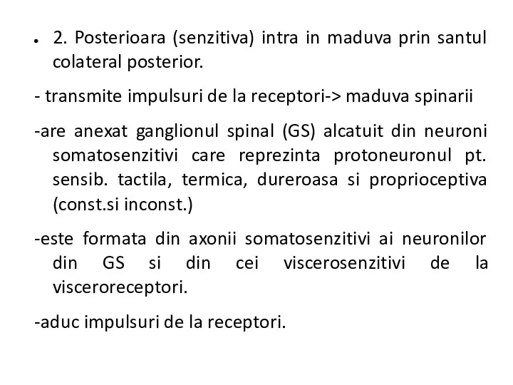 2. Posterioara (senzitiva) intra in maduva prin santul colateral posterior.