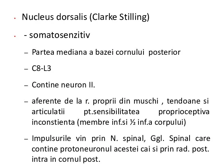 Nucleus dorsalis (Clarke Stilling) - somatosenzitiv Partea mediana a bazei