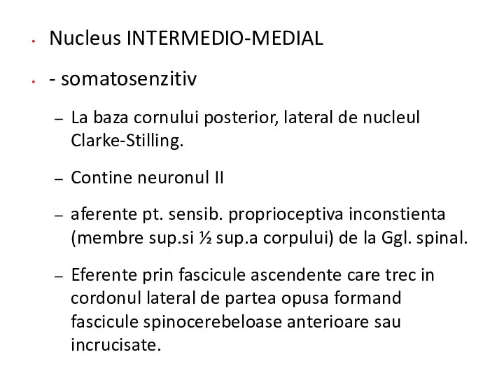 Nucleus INTERMEDIO-MEDIAL - somatosenzitiv La baza cornului posterior, lateral de