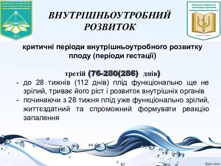 ВНУТРІШНЬОУТРОБНИЙ РОЗВИТОК критичні періоди внутрішньоутробного розвитку плоду (періоди гестації) третій