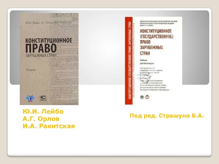 Ю.И. Лейбо А.Г. Орлов И.А. Ракитская Под ред. Страшуна Б.А.