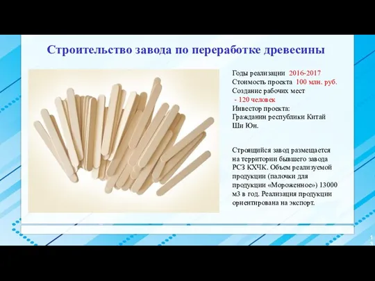 Строительство завода по переработке древесины Годы реализации 2016-2017 Стоимость проекта 100 млн. руб.