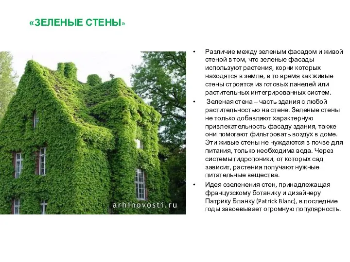 «ЗЕЛЕНЫЕ СТЕНЫ» Различие между зеленым фасадом и живой стеной в