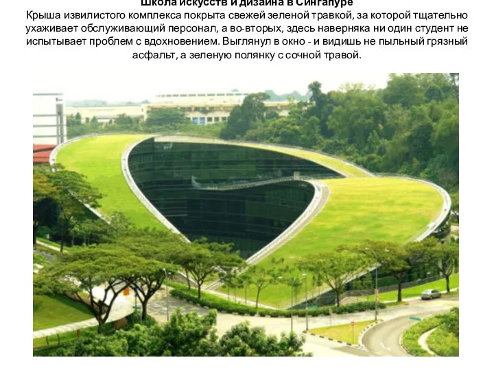 Школа искусств и дизайна в Сингапуре Крыша извилистого комплекса покрыта