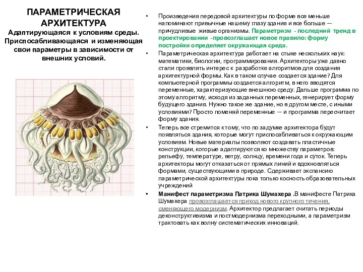 ПАРАМЕТРИЧЕСКАЯ АРХИТЕКТУРА Адаптирующаяся к условиям среды. Приспосабливающаяся и изменяющая свои параметры в зависимости