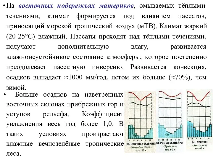 На восточных побережьях материков, омываемых тёплыми течениями, климат формируется под