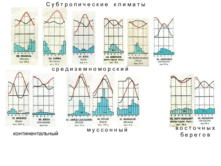 С у б т р о п и ч е