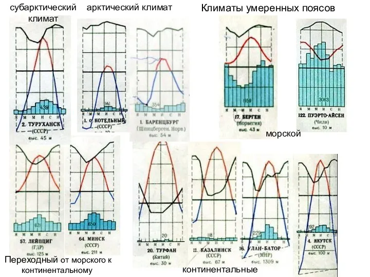 субарктический климат Климаты умеренных поясов морской континентальные Переходный от морского к континентальному арктический климат