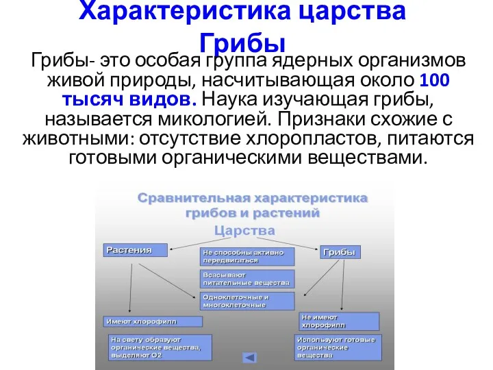 Характеристика царства Грибы Грибы- это особая группа ядерных организмов живой