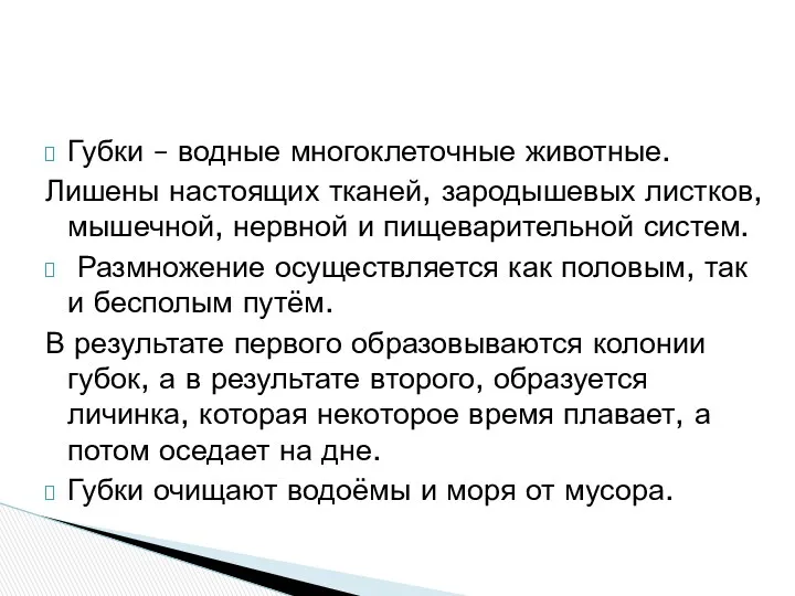 Губки – водные многоклеточные животные. Лишены настоящих тканей, зародышевых листков, мышечной, нервной и