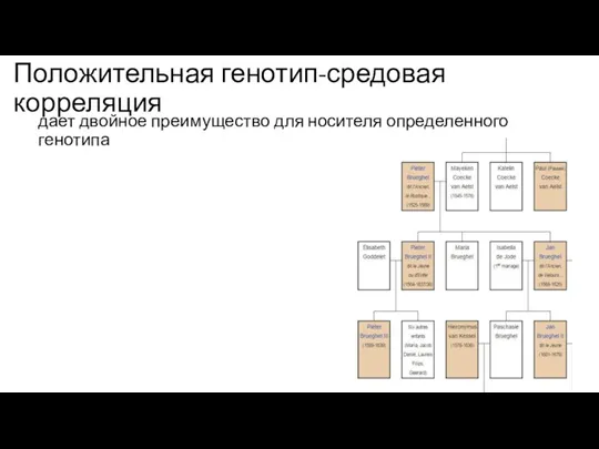 Положительная генотип-средовая корреляция дает двойное преимущество для носителя определенного генотипа