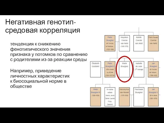 Негативная генотип-средовая корреляция Например, приведение личностных характеристик к биосоциальной норме