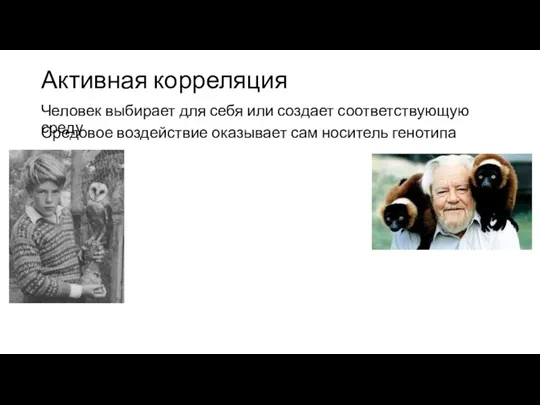 Активная корреляция Человек выбирает для себя или создает соответствующую среду Средовое воздействие оказывает сам носитель генотипа