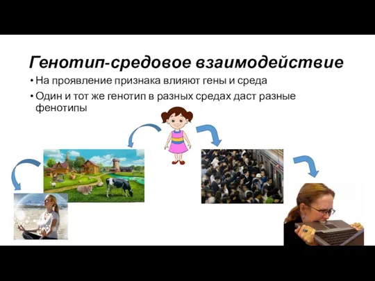 Генотип-средовое взаимодействие На проявление признака влияют гены и среда Один