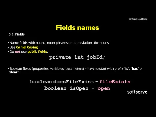 Fields names 3.5. Fields Name fields with nouns, noun phrases