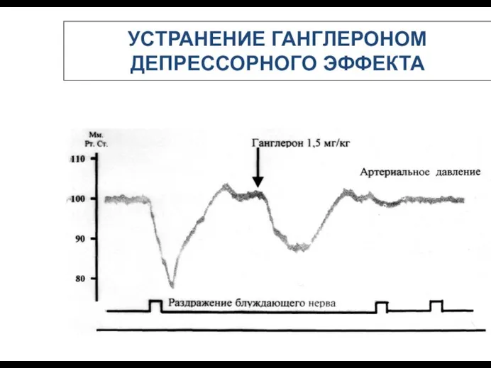 УСТРАНЕНИЕ ГАНГЛЕРОНОМ ДЕПРЕССОРНОГО ЭФФЕКТА