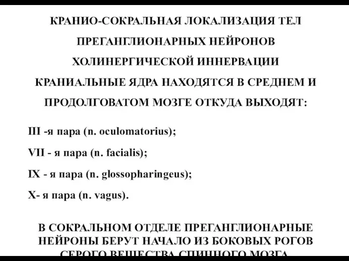 КРАНИО-СОКРАЛЬНАЯ ЛОКАЛИЗАЦИЯ ТЕЛ ПРЕГАНГЛИОНАРНЫХ НЕЙРОНОВ ХОЛИНЕРГИЧЕСКОЙ ИННЕРВАЦИИ КРАНИАЛЬНЫЕ ЯДРА НАХОДЯТСЯ