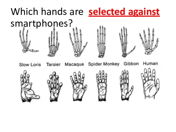 Which hands are selected against smartphones?
