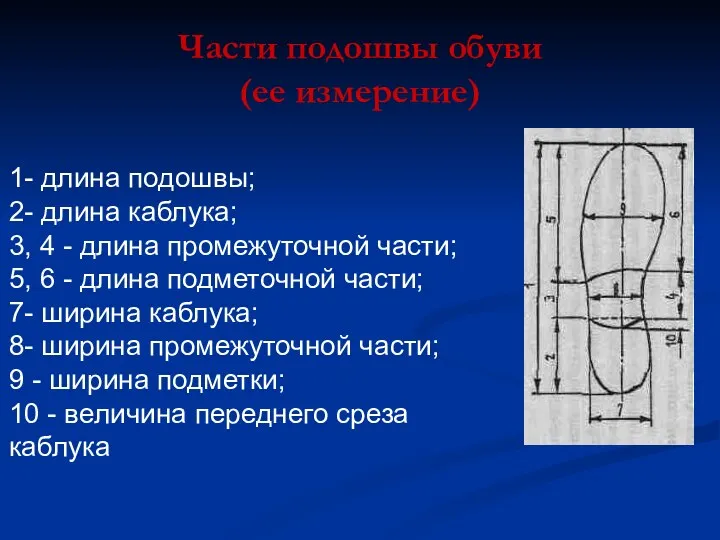 Части подошвы обуви (ее измерение) 1- длина подошвы; 2- длина