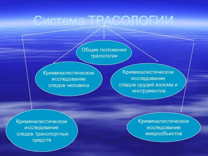 Система ТРАСОЛОГИИ