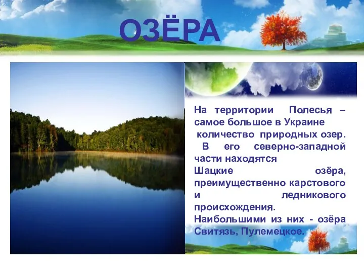 ОЗЁРА На территории Полесья – самое большое в Украине количество