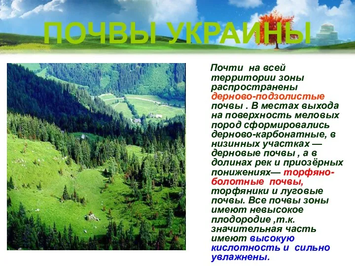 ПОЧВЫ УКРАИНЫ Почти на всей территории зоны распространены дерново-подзолистые почвы