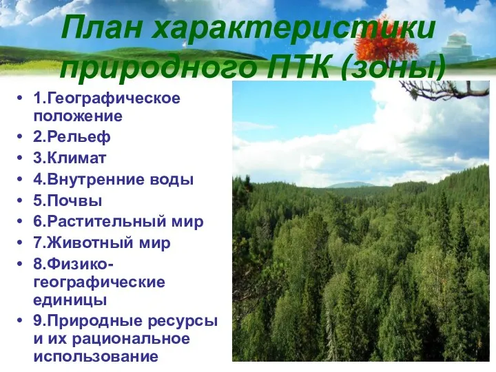 План характеристики природного ПТК (зоны) 1.Географическое положение 2.Рельеф 3.Климат 4.Внутренние