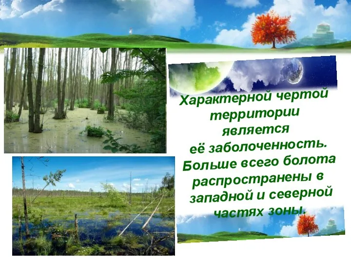 Характерной чертой территории является её заболоченность. Больше всего болота распространены в западной и северной частях зоны.