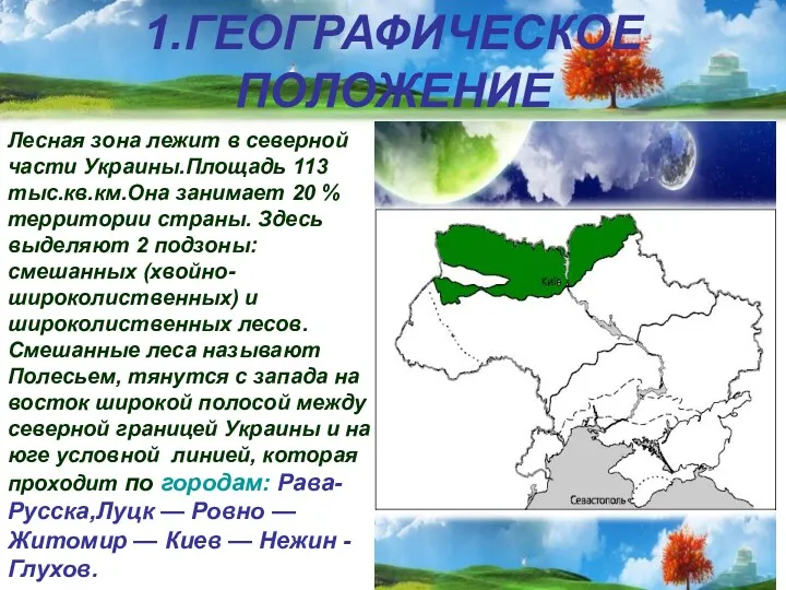 1.ГЕОГРАФИЧЕСКОЕ ПОЛОЖЕНИЕ Лесная зона лежит в северной части Украины.Площадь 113