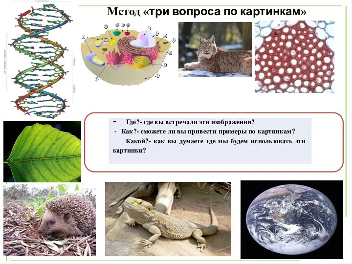 Метод «три вопроса по картинкам»