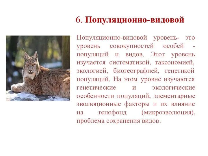 6. Популяционно-видовой Популяционно-видовой уровень- это уровень совокупностей особей - популяций