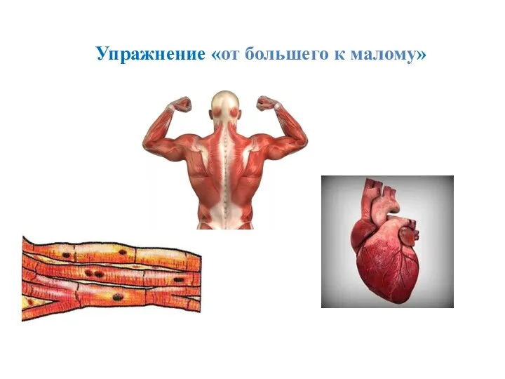 Упражнение «от большего к малому»