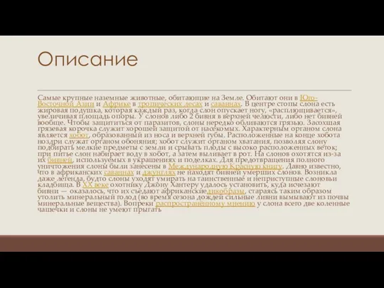 Описание Самые крупные наземные животные, обитающие на Земле. Обитают они