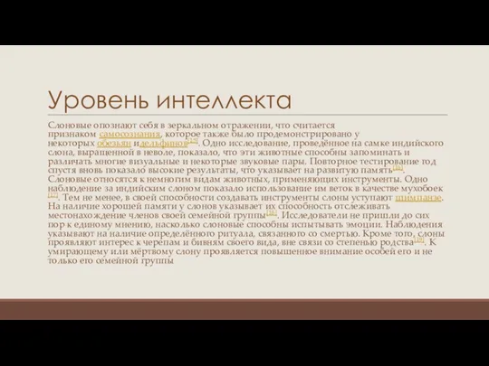 Уровень интеллекта Слоновые опознают себя в зеркальном отражении, что считается