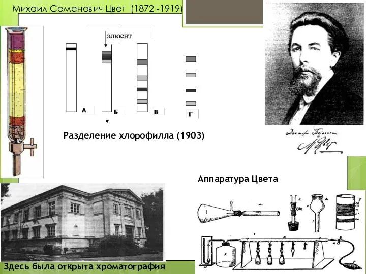 Михаил Семенович Цвет (1872 -1919) Разделение хлорофилла (1903) Здесь была открыта хроматография Аппаратура Цвета