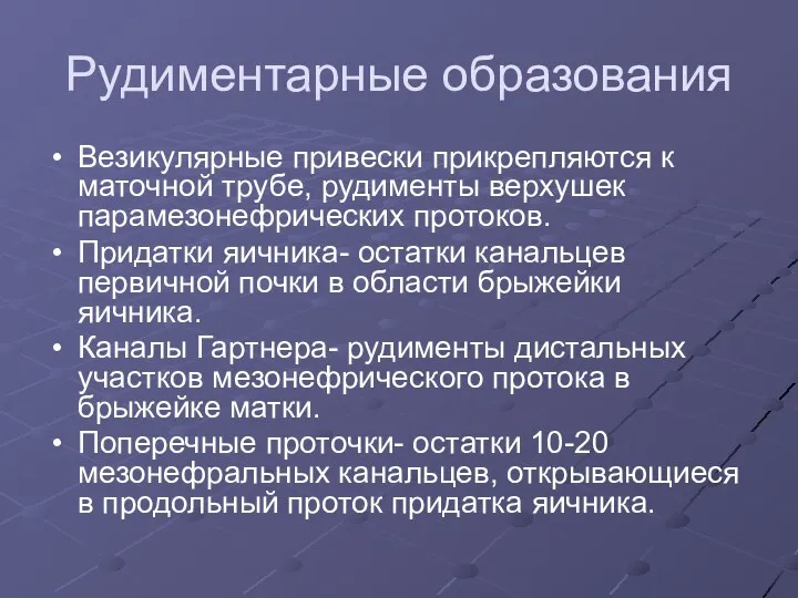 Рудиментарные образования Везикулярные привески прикрепляются к маточной трубе, рудименты верхушек парамезонефрических протоков. Придатки