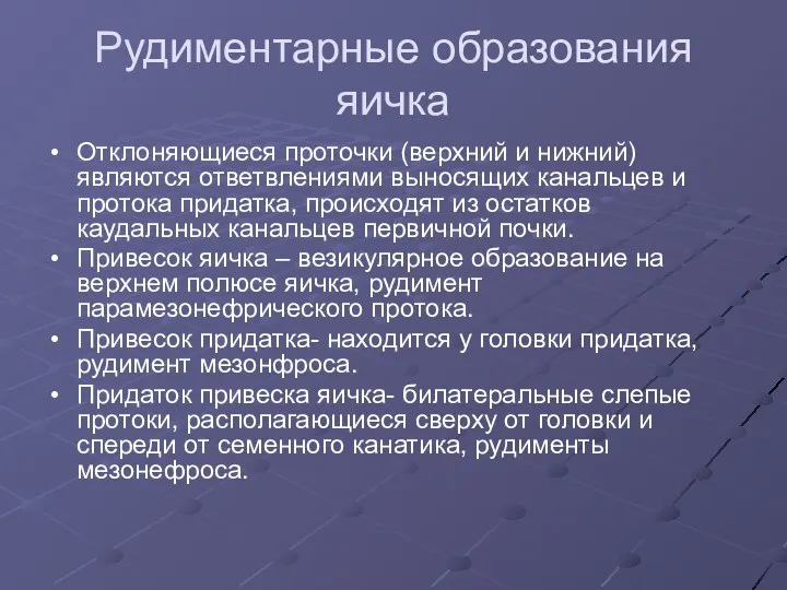 Рудиментарные образования яичка Отклоняющиеся проточки (верхний и нижний) являются ответвлениями выносящих канальцев и