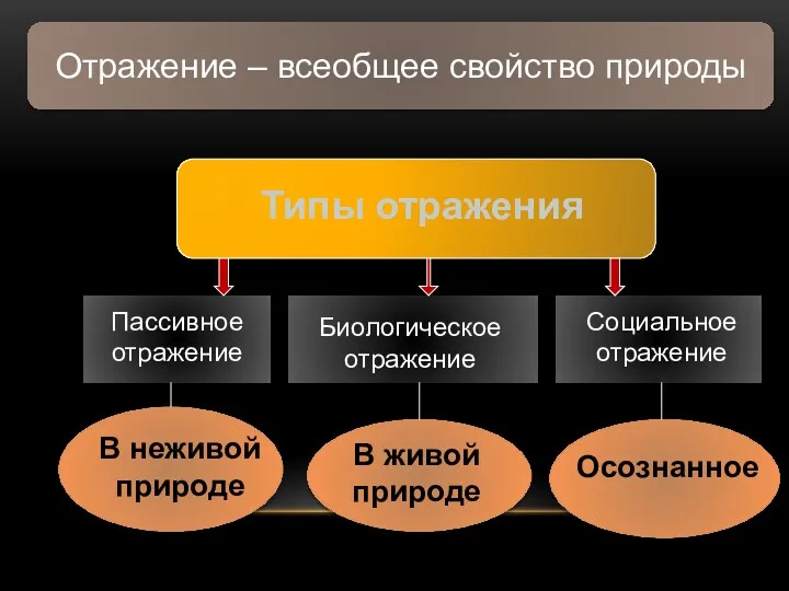 Отражение – всеобщее свойство природы Типы отражения Пассивное отражение В