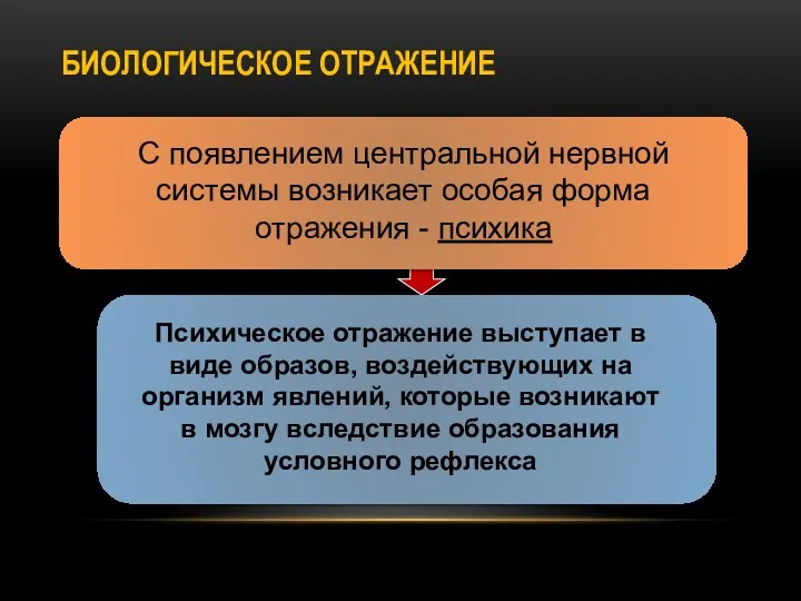 БИОЛОГИЧЕСКОЕ ОТРАЖЕНИЕ С появлением центральной нервной системы возникает особая форма