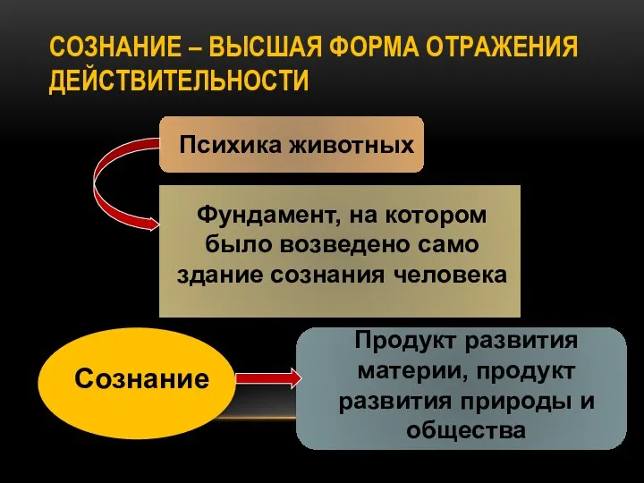 СОЗНАНИЕ – ВЫСШАЯ ФОРМА ОТРАЖЕНИЯ ДЕЙСТВИТЕЛЬНОСТИ Психика животных Фундамент, на